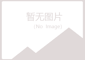 阳山县埋没咨询有限公司